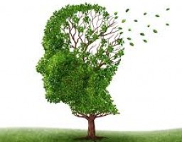 Alzheimer’s Prevention With H2 (Molecular Hydrogen)