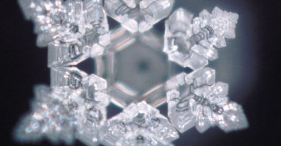 A Message From Masaru Emoto